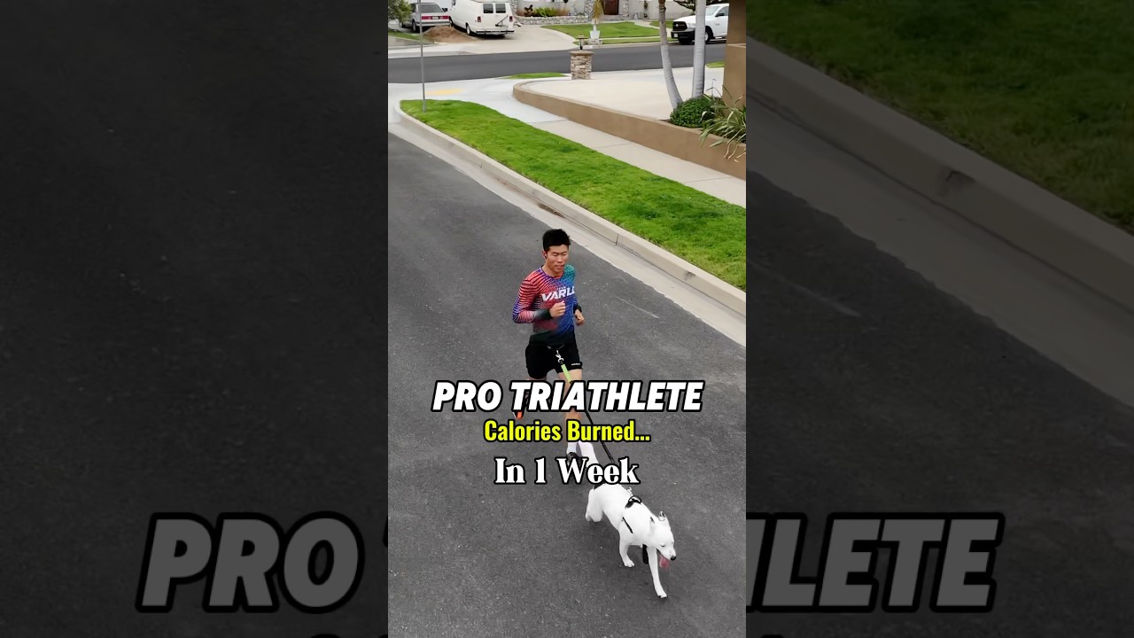 Weekly Calories Burned as A Pro Athlete