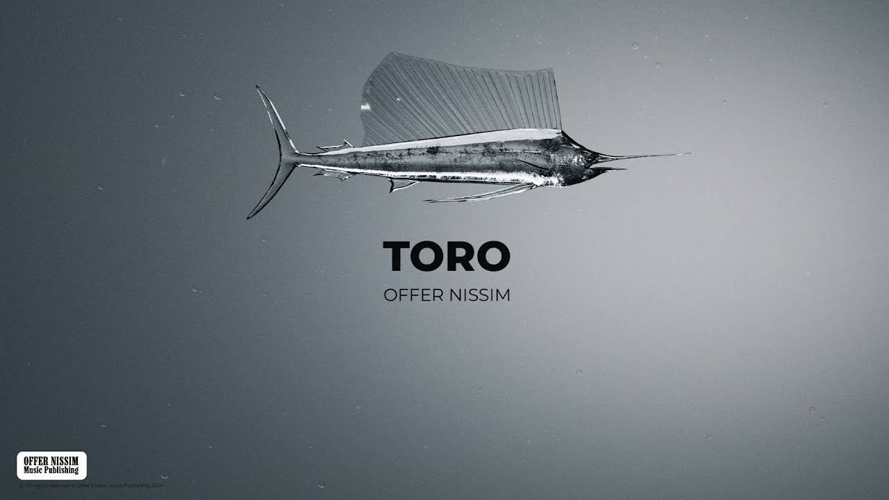 Offer Nissim - Toro