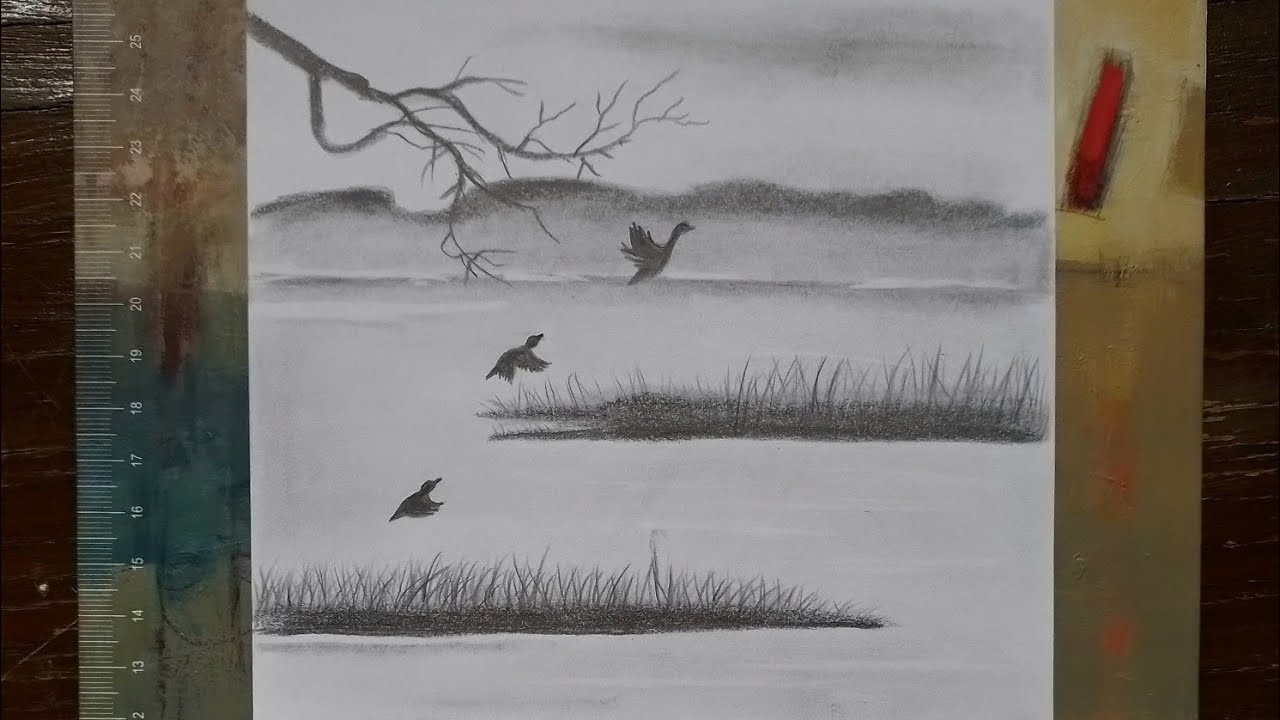 How to draw a wetland with a bird #draw #designing #wetland #bird