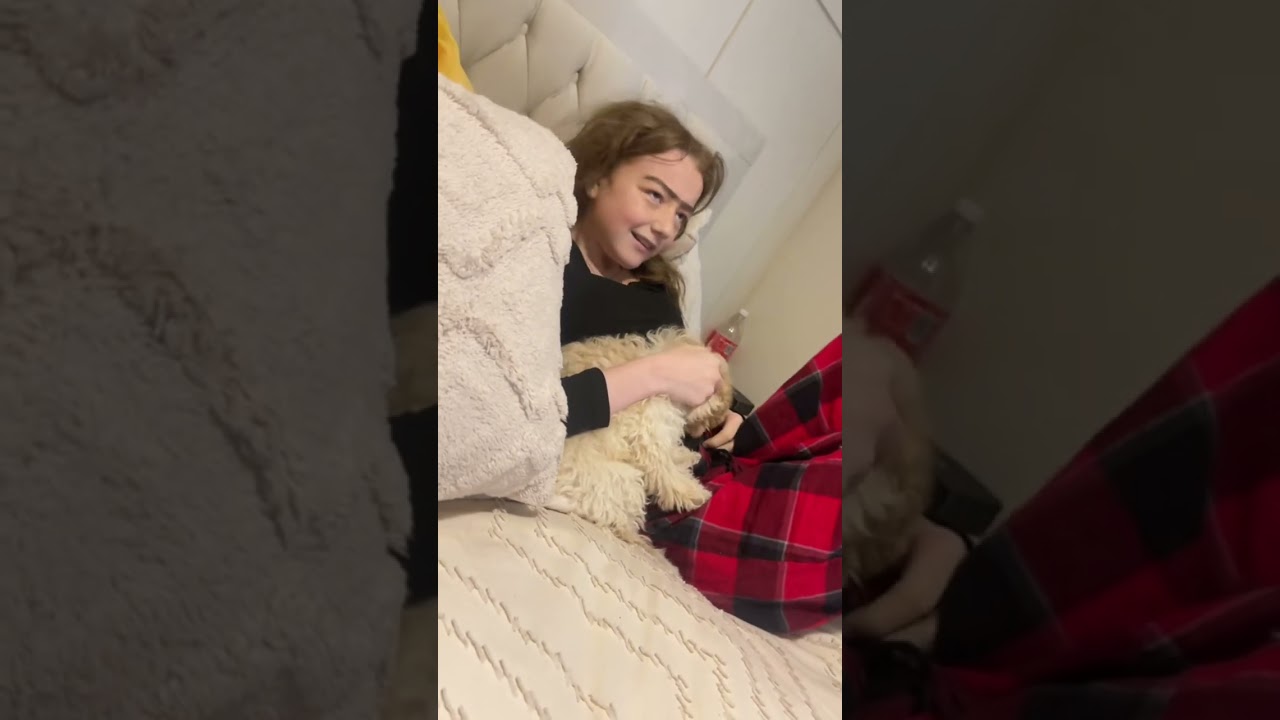 Pranks & Miley’s behaviour 🤣 #viralvideo #funny #comedyjokes #funnyjokes #prank