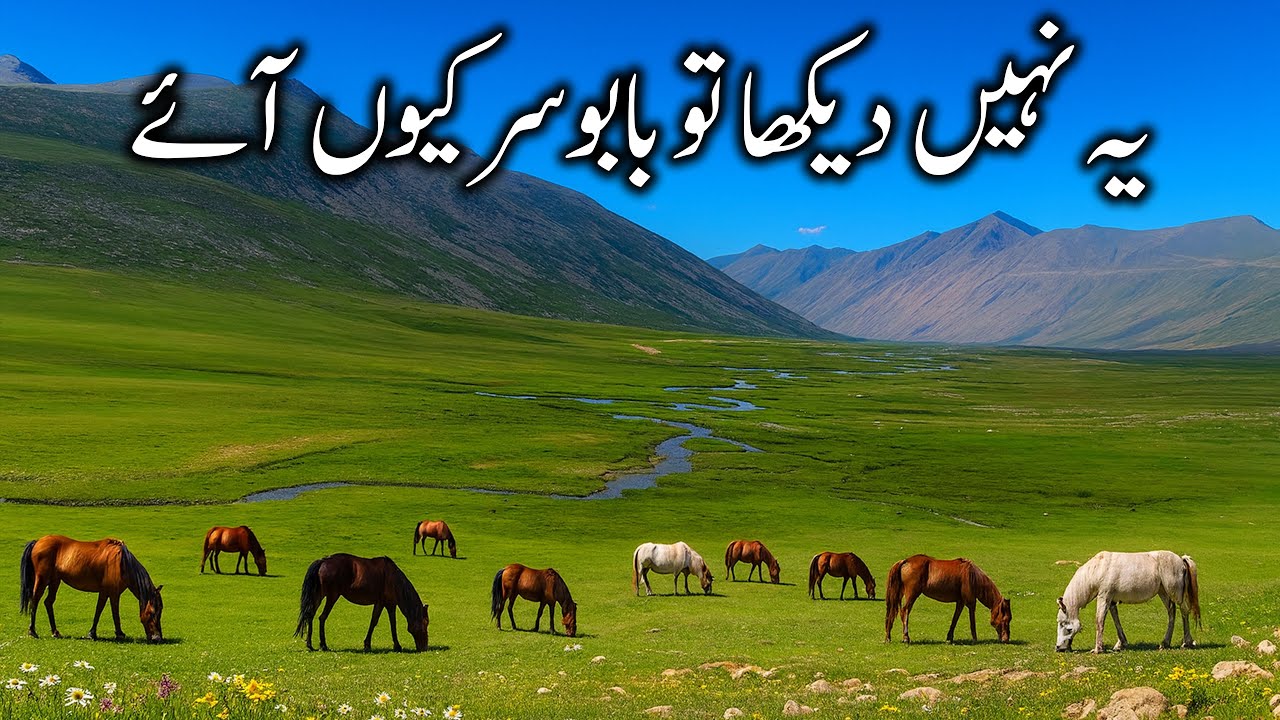 Hidden Beauty Before Babusar Top – Gittidas Meadows Pakistan – EP:18