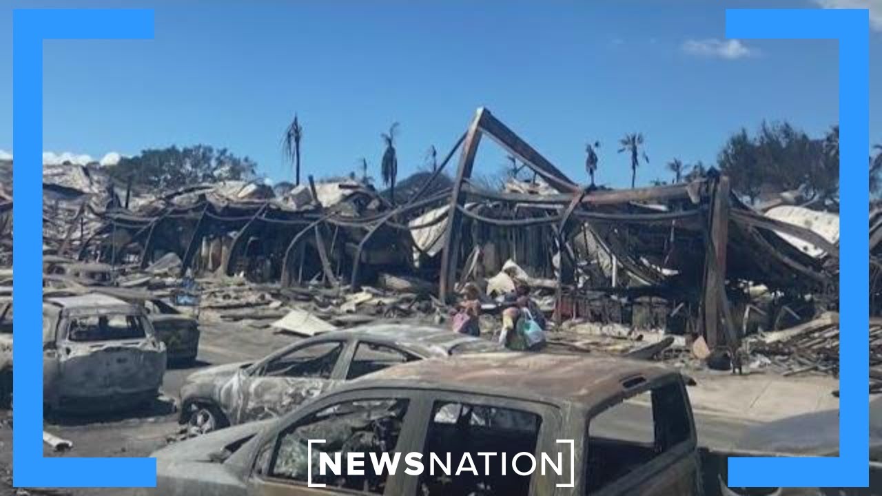Oprah and &lsquo;The Rock&rsquo; launch charity for Maui fire victims | NewsNation Live