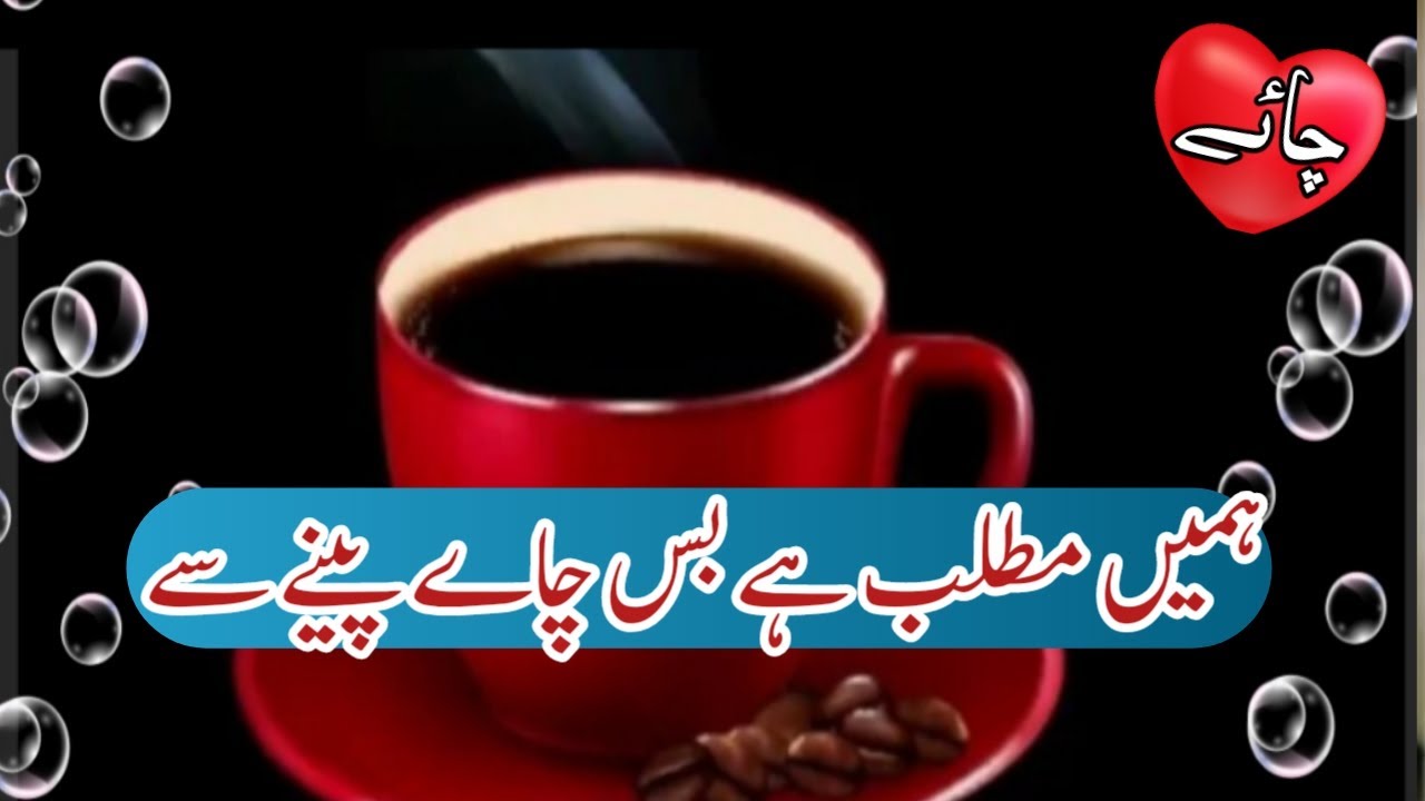 Tea Poetry WhatsApp Status | Chai Poetry | #Shorts | Tea Status | Tea Poetry | Tea lover status