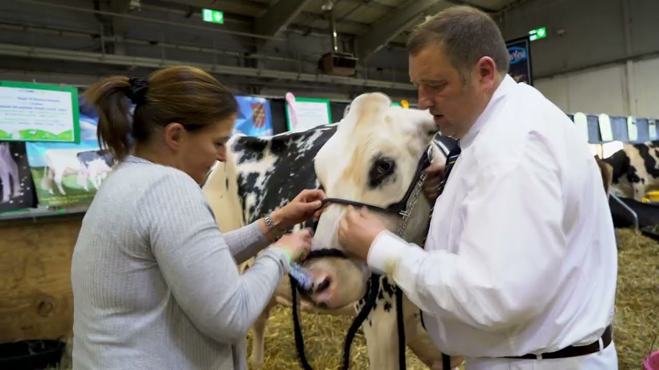 UK farmer scales up business using Dairy Cattle Finance  |   Finance for Farms   |   Shire Leasing
