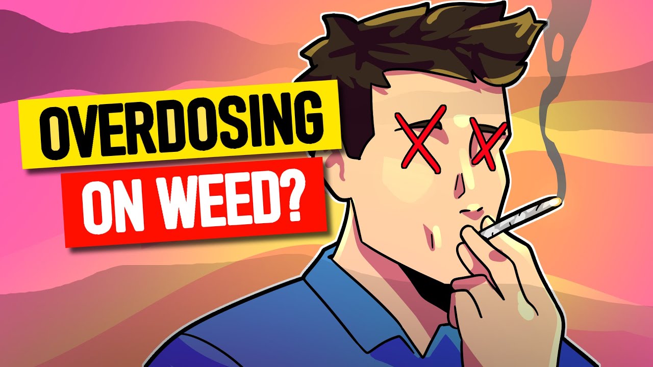 Can You Overdose On Weed?