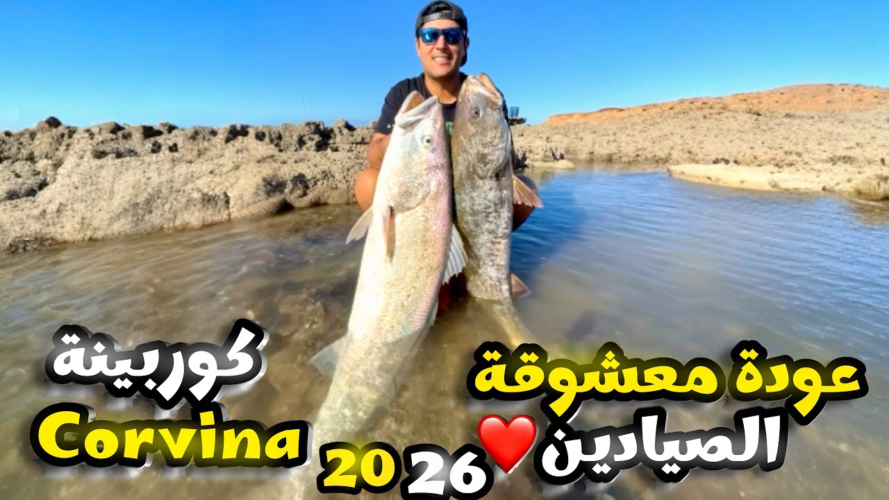 صيدنا على الكوربين😍في أول رحلات سنة#2026 وكانو تقاوس🎣و مفاجئات رائعة🇲🇦.