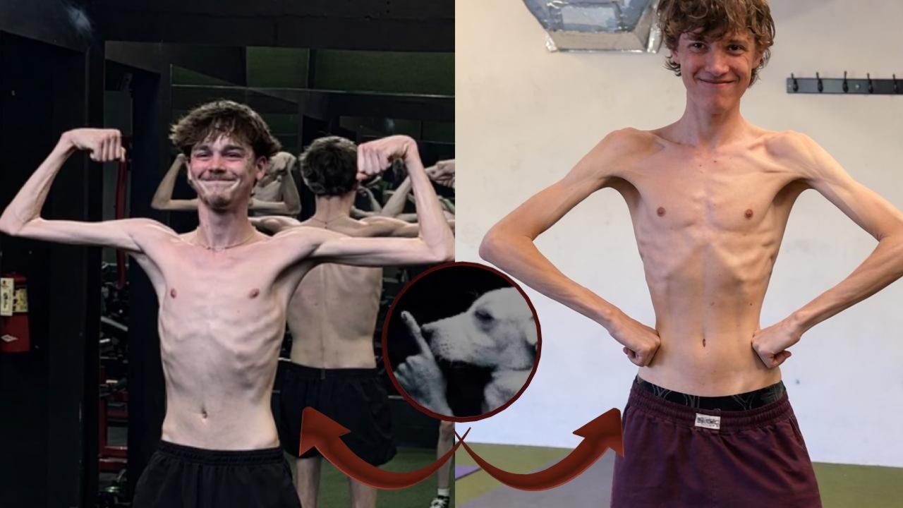 Getting Big Arms Soy Boy Style