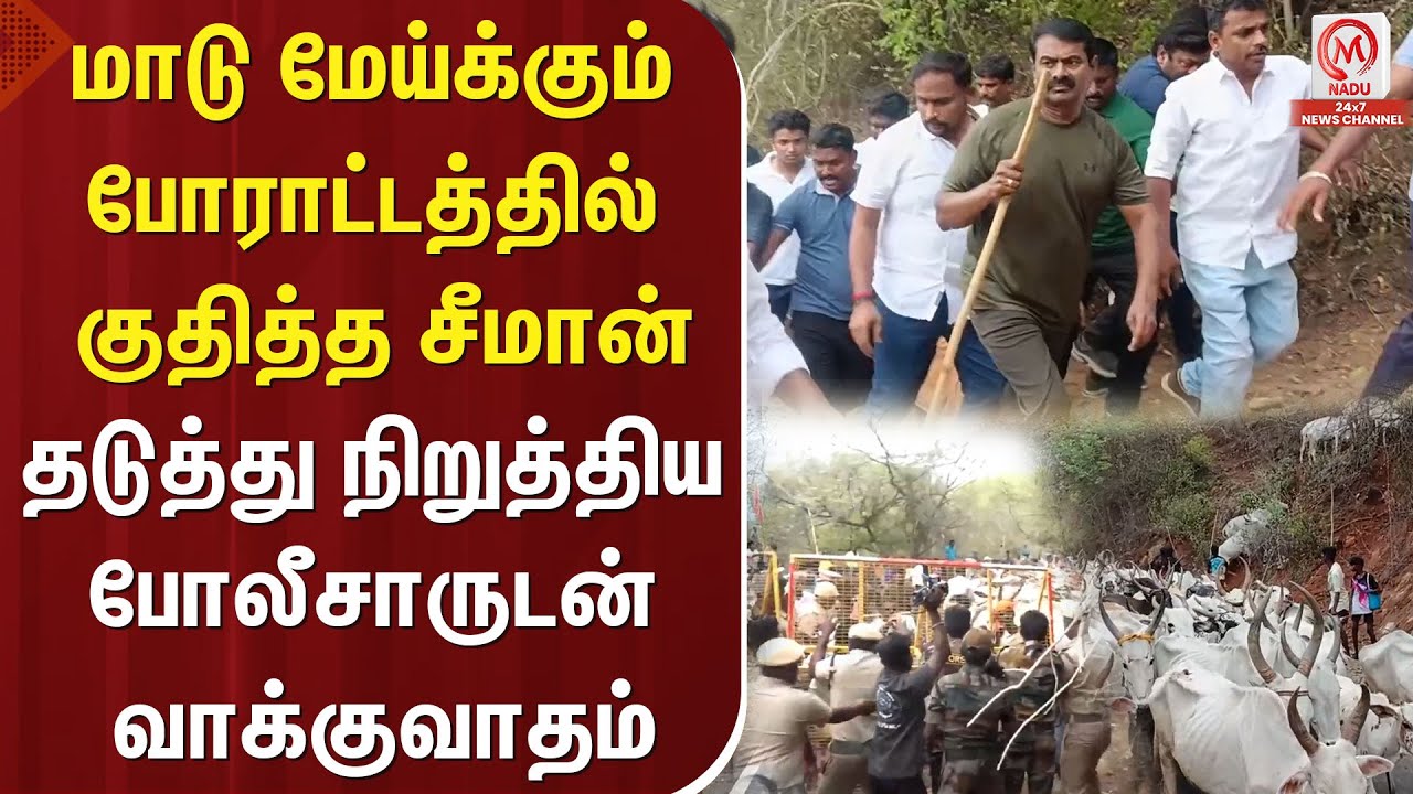 மாடு மேய்க்கும் போராட்டத்தில் குதித்த சீமான் தடுத்து நிறுத்திய போலீசாருடன் வாக்குவாதம் | Seeman