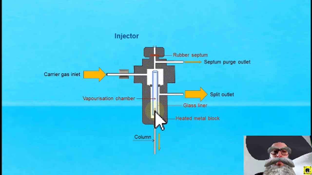 Cromatografia Gasosa