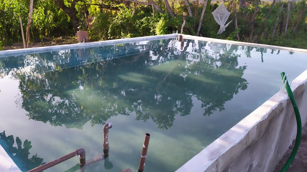 Tanque com filtros biológicos na criação de peixes