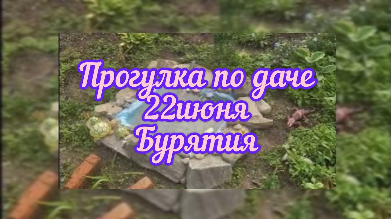 Прогулка по даче 22 июня. Бурятия