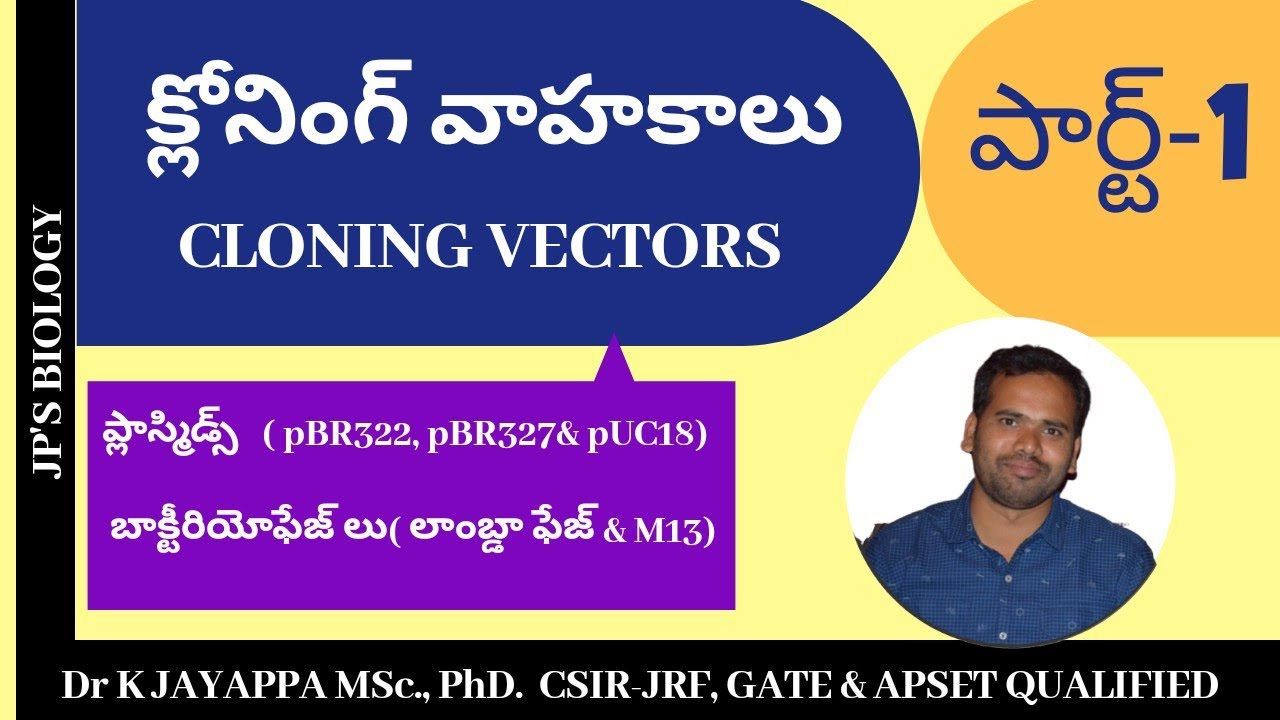 Cloning vectors Part 1