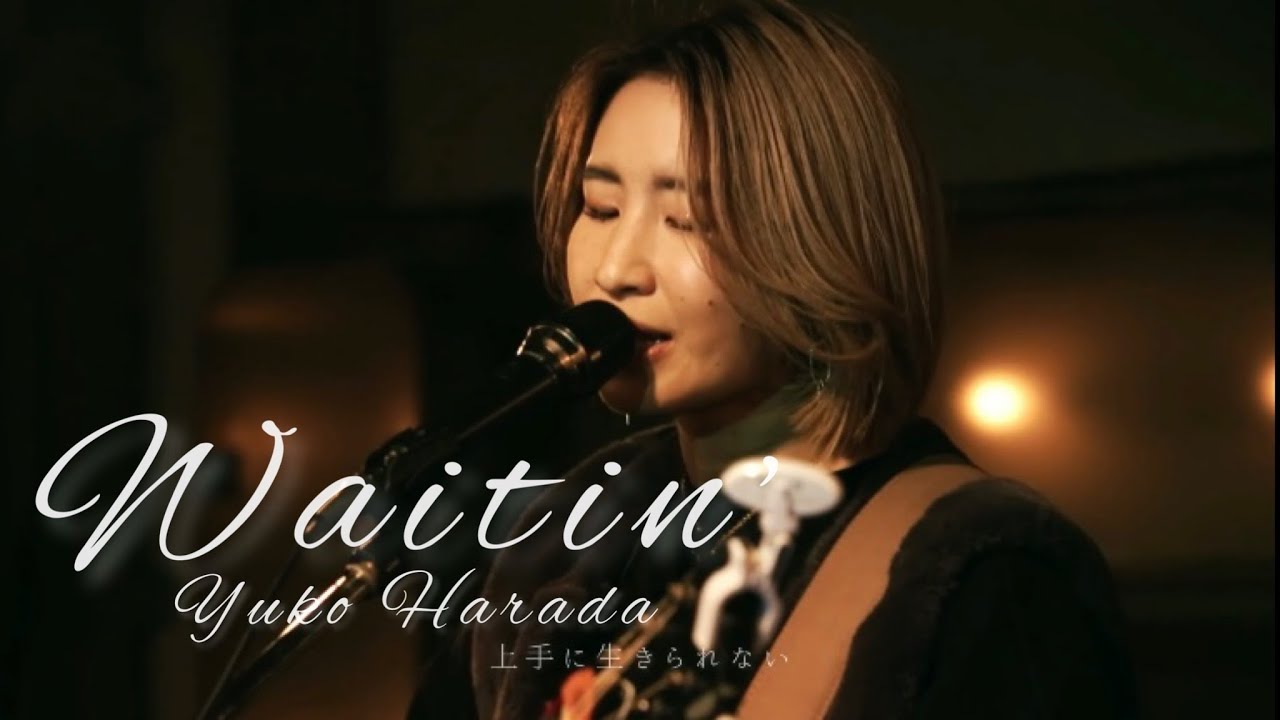 原田侑子 Yuko Harada - Waitin'  | Live version