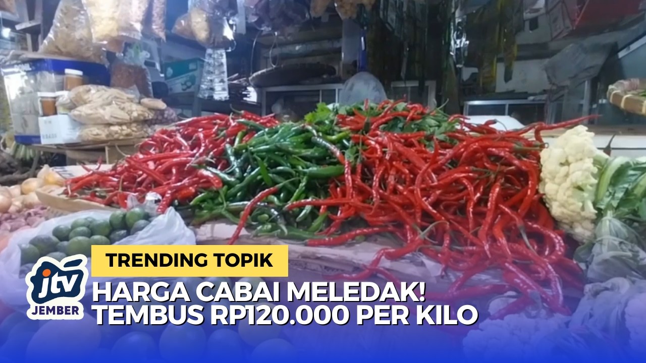 Pedasnya Harga Cabai! Harga Cabai di Jember Tembus 120 Ribu Per Kilo!