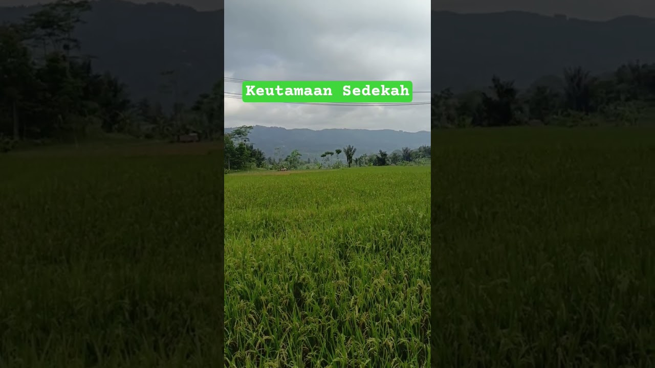 7 Keutamaan Sedekah