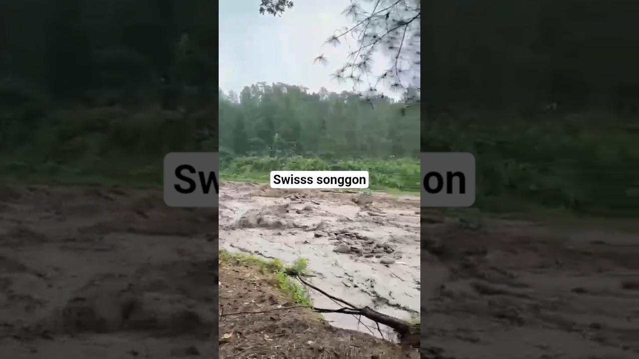 swisss songgon Banyuwangi #swiss #banjirbandang #banjir #bwi24jam #wisataindonesia
