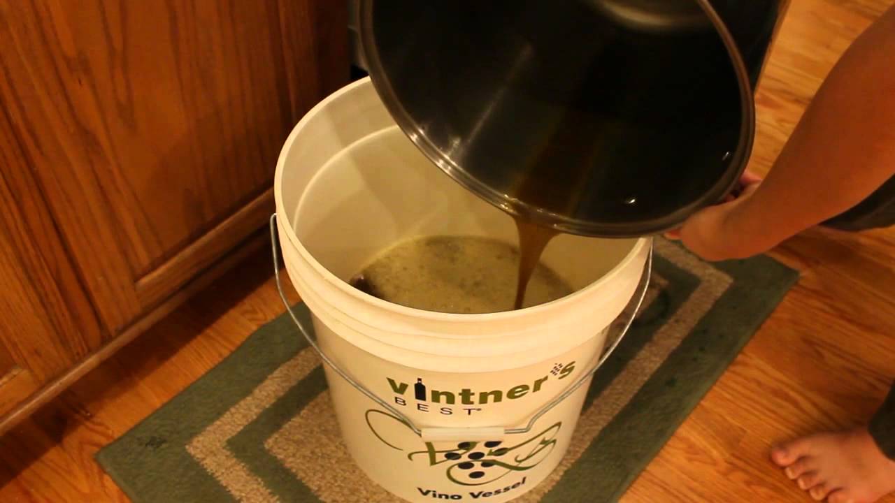 My First Home Brew Beer ~ Pumpkin Ale