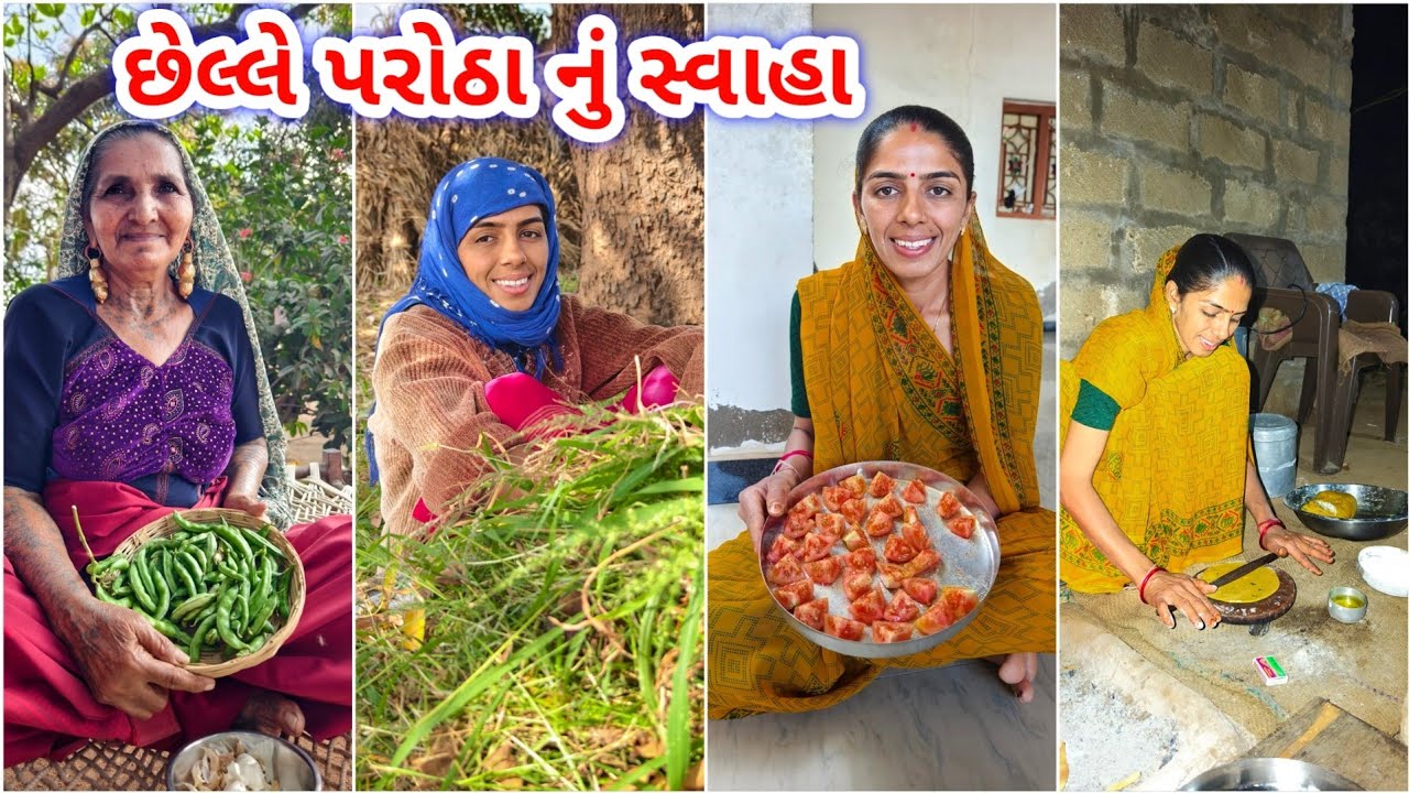 દોસ કે થાકી પણ કરી દવ || બધું દવા વગર નું || JSK Life 1327