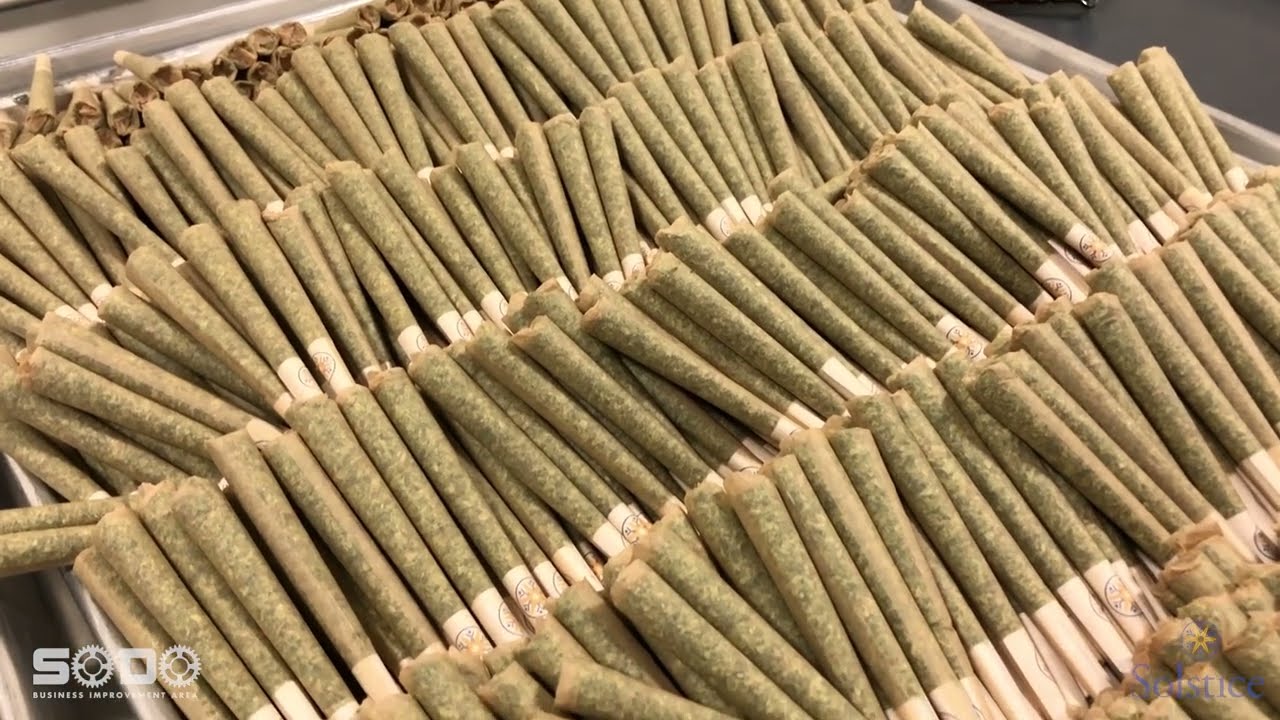 Solstice Cannabis