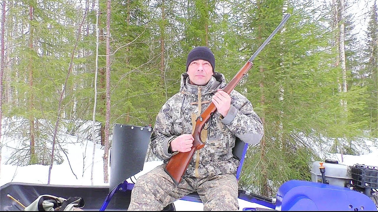 САМЫЙ НЕЛЕПЫЙ КАЛИБР ДЛЯ ОХОТЫ / ТРИ РАЗНЫХ ПУЛИ ПО СОСНОВОМУ ПОЛЕНУ / КАРАБИН CZ 527 lux 223 рем.