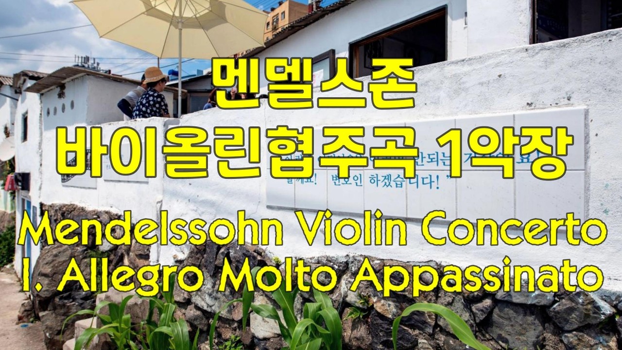 멘델스존 바이올린 협주곡 1악장 Mendelssohn Violin Concerto in E minor op.64   #classicalmusic #클래식 #classic