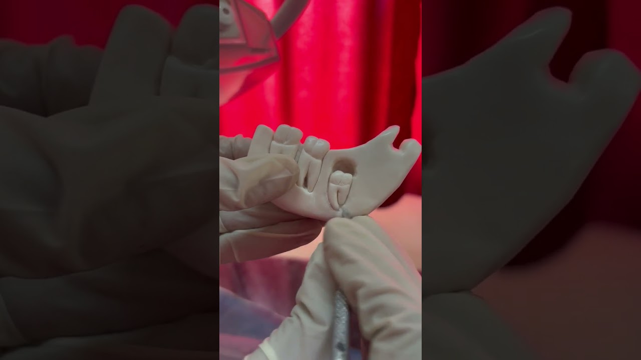 Soap carving 🦷🩺