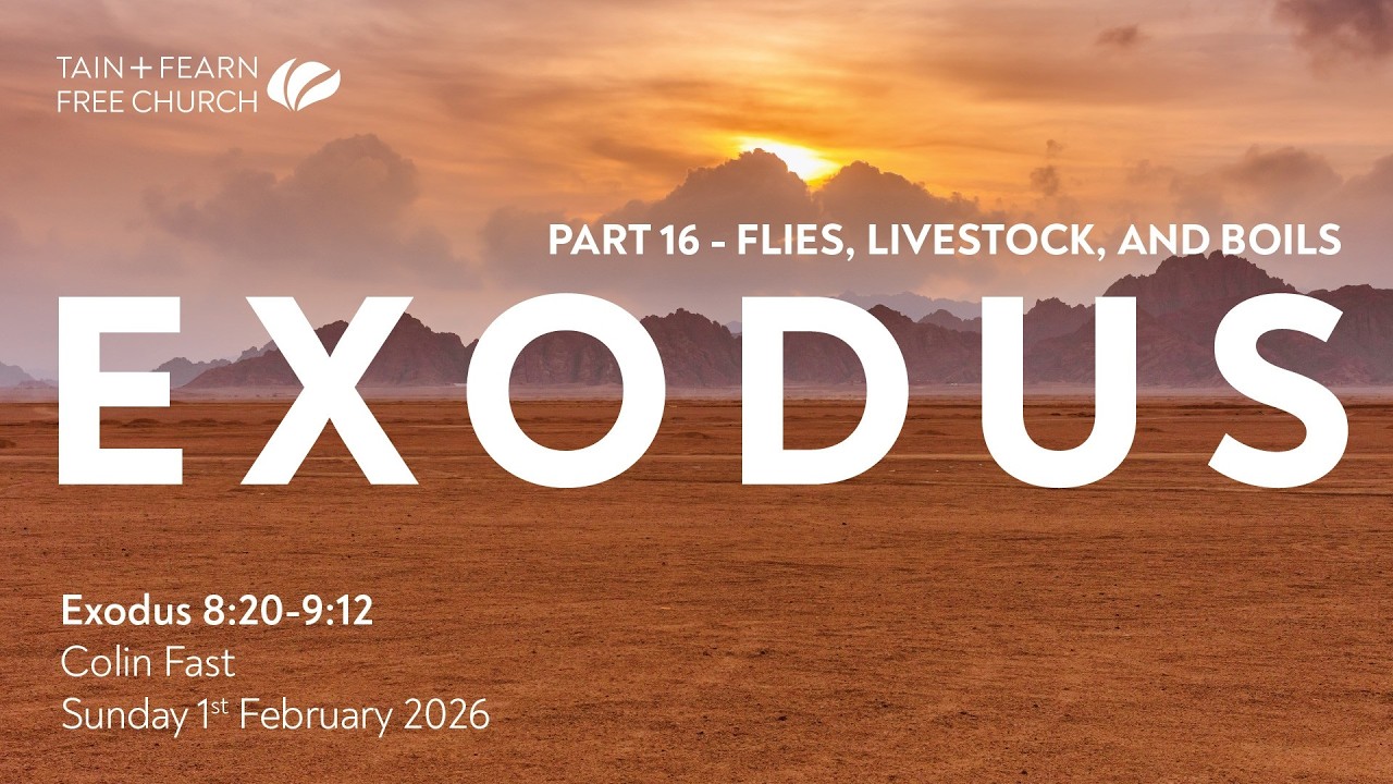 Flies, Livestock, and Boils - Exodus 8:20 - 9:12