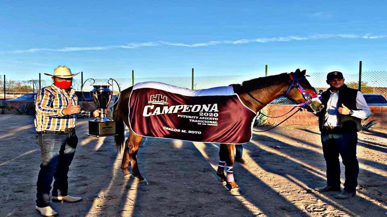 LA MALVADA - AARON CHAVEZ Y SUS TAPADOS