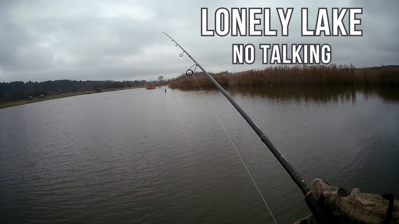 Lonely Lake Fishing — Peaceful Nature Ambience
