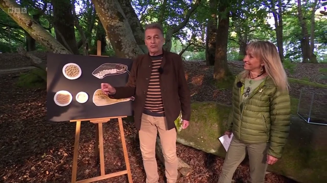 Slow Worms on Springwatch (2024)