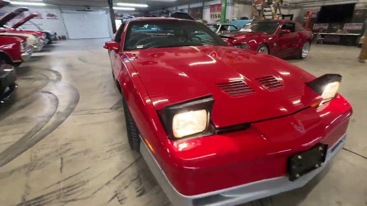 1988 Pontiac Firebird Trans Am