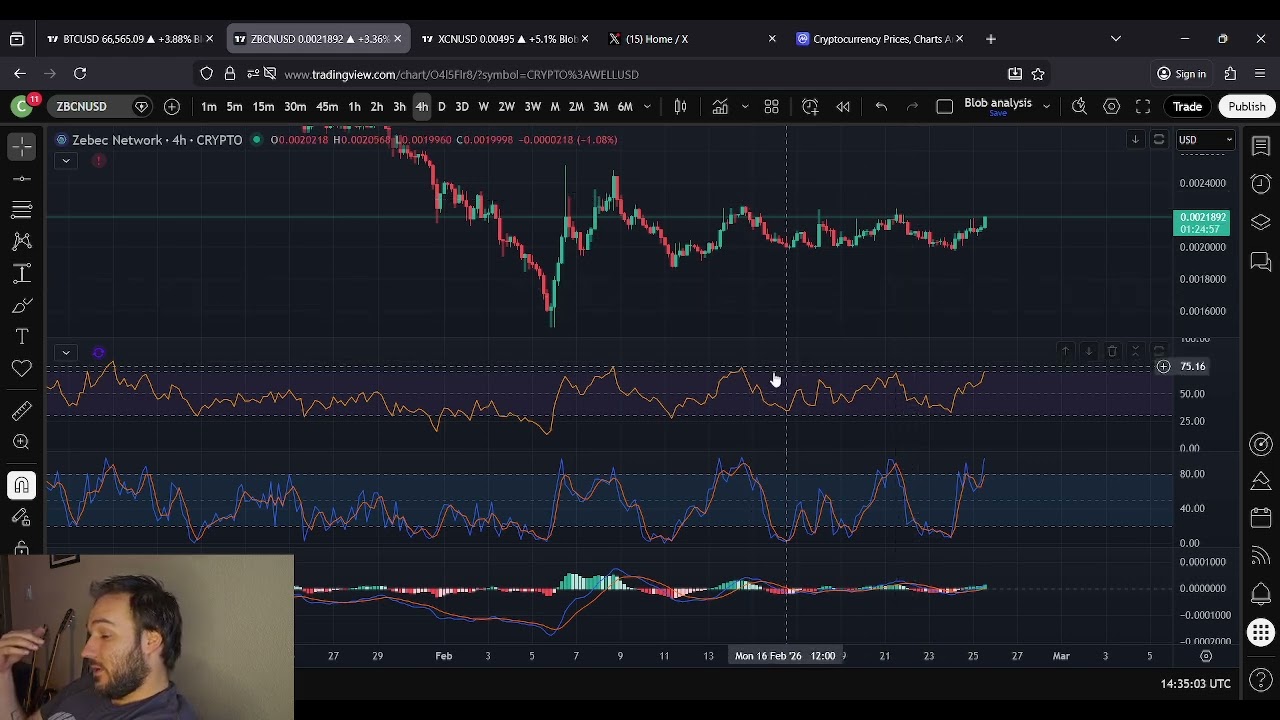 ZBCN Zebec Price Prediction: An Interesting Month Awaits