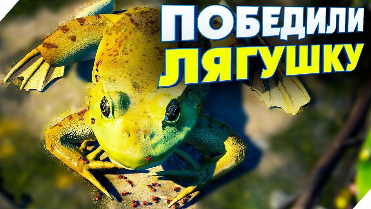 МУРАВЬИ СЪЕЛИ ЛЯГУШКУ! КОЛОНИЯ ОГНЕННЫХ МУРАВЬЕВ ВОИНОВ - Empires of the Undergrowth