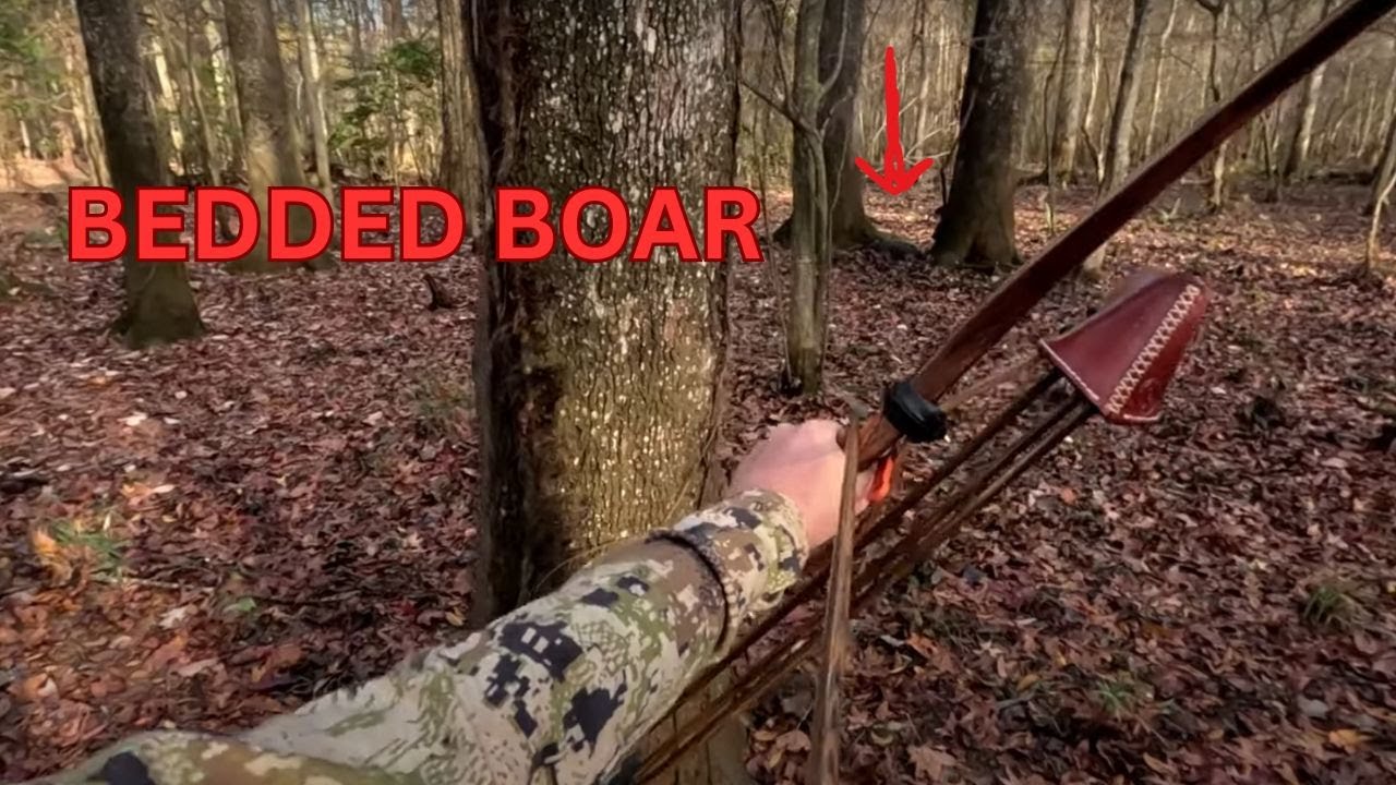 THE HIGHS AND LOWS OF THE LONG BOW