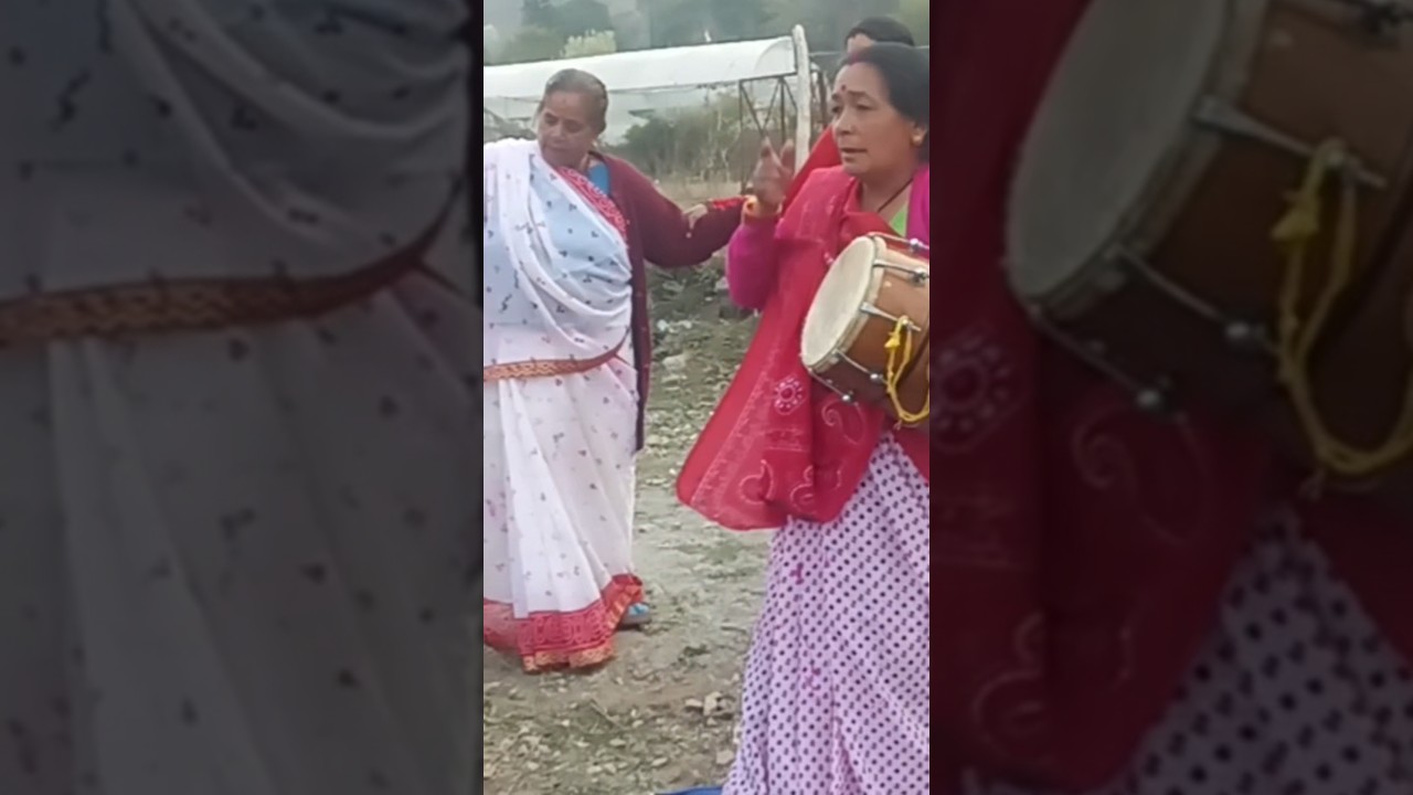 pahadi jhora 🌞🌻 #trending #himalayancultures #dance 💕❤️