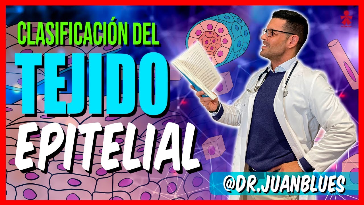CLASIFICACIÓN DEL TEJIDO EPITELIAL ‼️