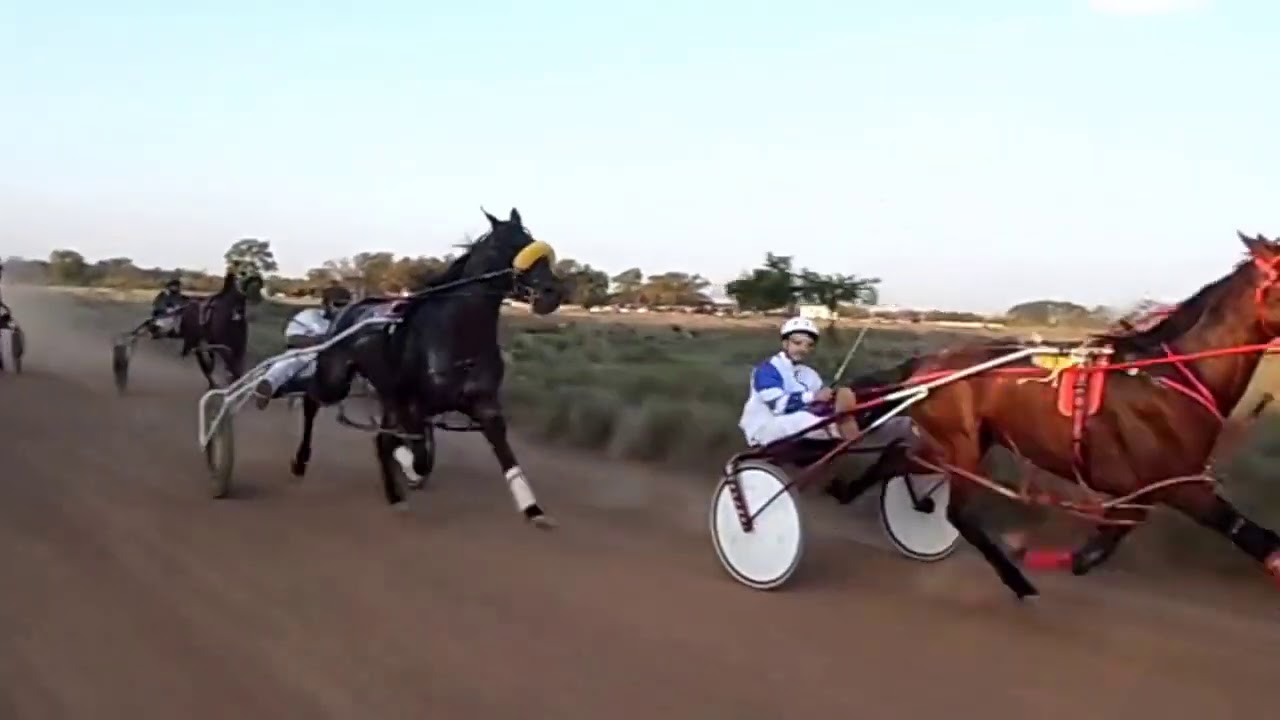Ch.Art.Estridente tp 1.58.50 2 Empuje 1.59.35 3. Sparring 4. Ventimiglia