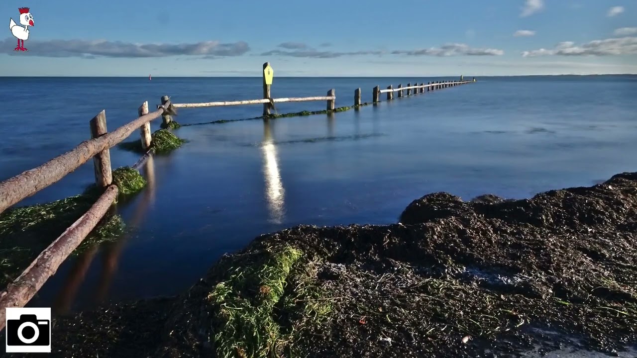 Wanderung Fototour Weststrand Prerow 12-2021