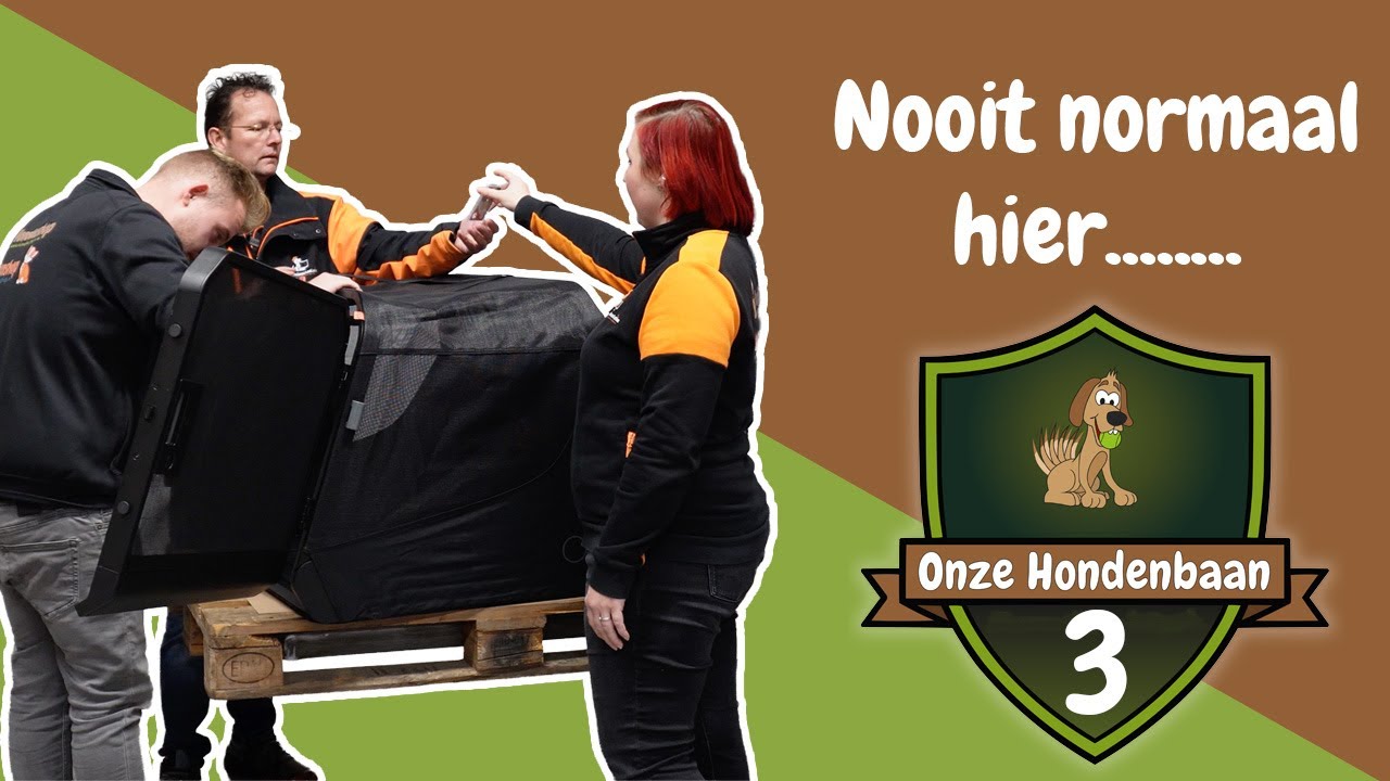 Onze Hondenbaan - Deel 3 | Een dag vol verrassingen: bench gedoe, foute hondenpenning én kerstwensen
