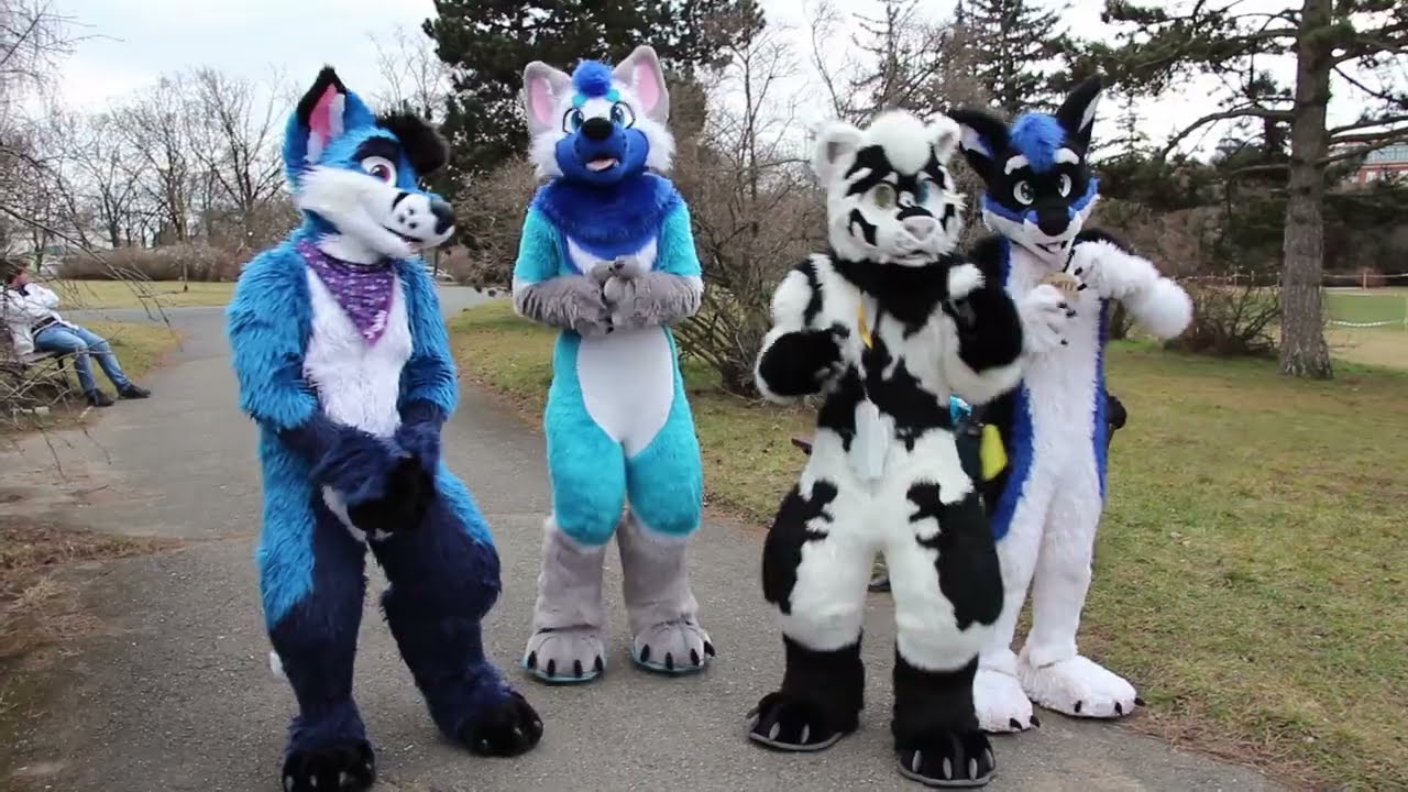 Furry Outing - Brno 5.2. 2022