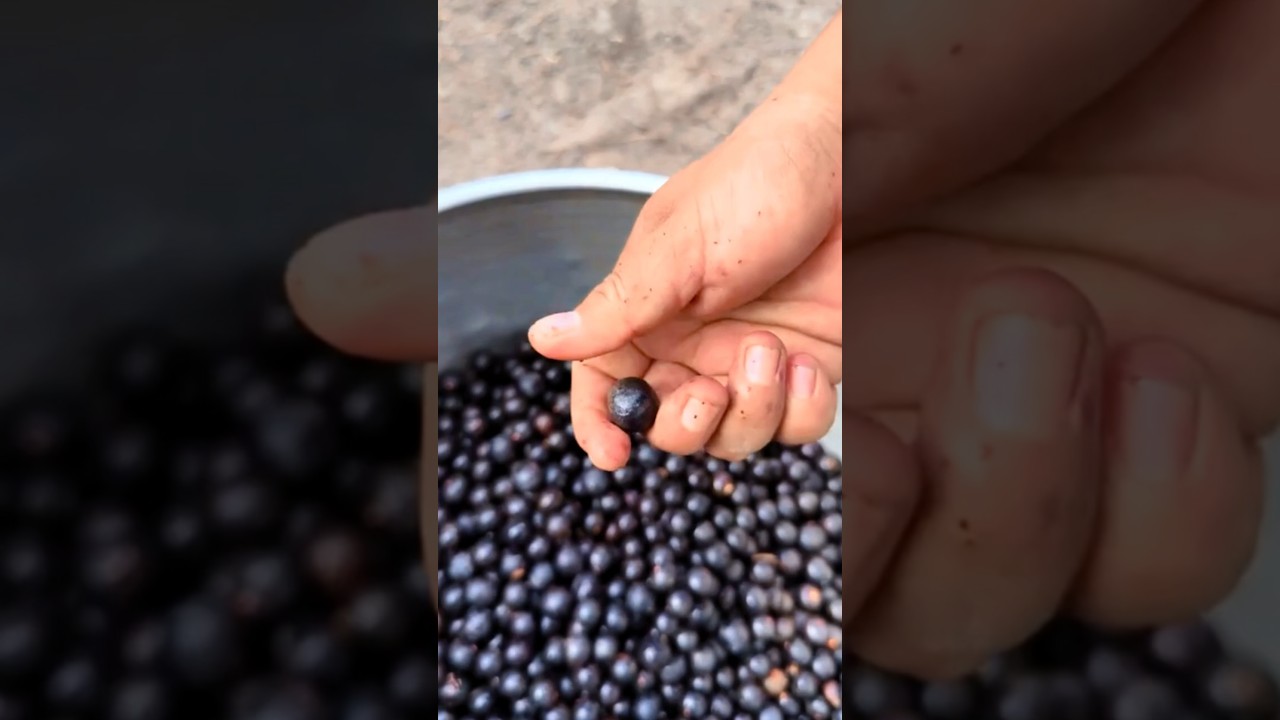 Las 10 frutas m&aacute;s saludables del mundo 🍎🍌  #alimentacionsaludable #consejosdesalud #frutas