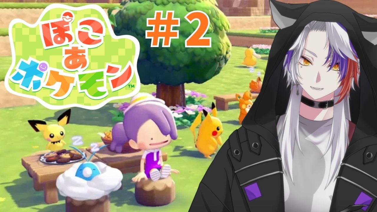 【ぽこあポケモン】#2 新たな出会い【Vance】