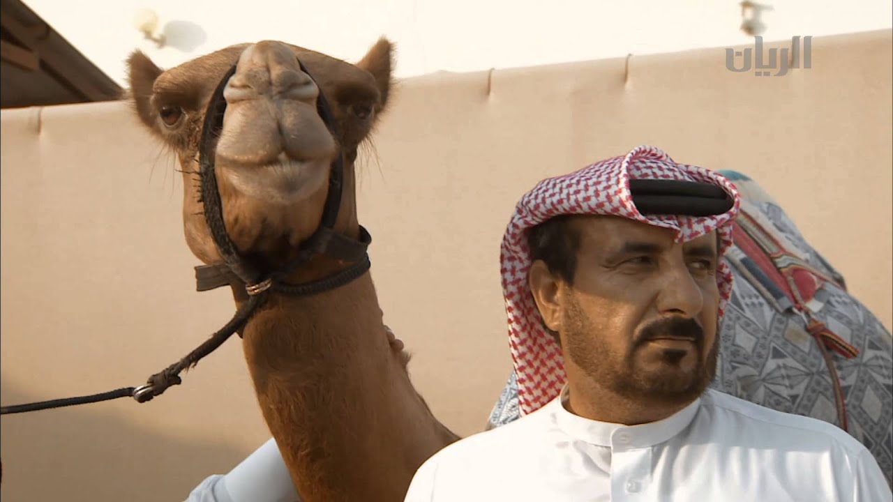 أخبار الريس - الحلقة الثالثة عشر - 24-10-2015