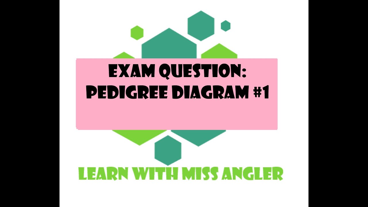 GR 12 EXAM QUESTION: Pedigree diagram #1