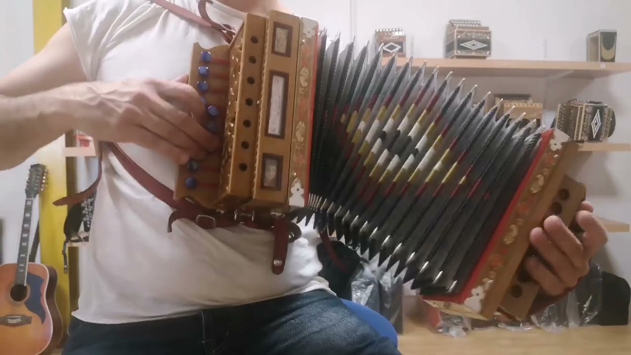 Organetto Della Noce 2 bassi Tonalit&agrave; Re