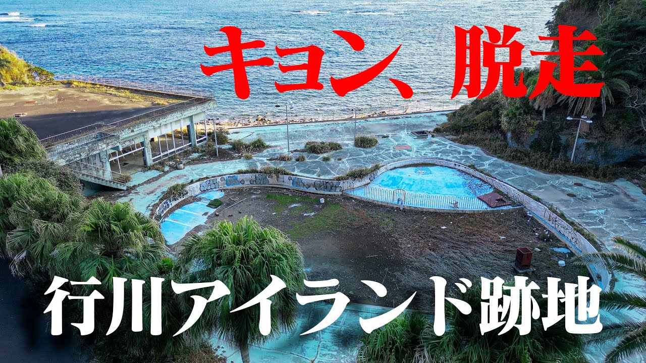 【4Kドローン空撮】2024 行川アイランド　跡地　千葉の廃遊園地　キョン　血まみれ　現在　事件　侵入　再開発 フラミンゴ　行川アイランド駅 心霊　Namegawa Island 【廃墟】