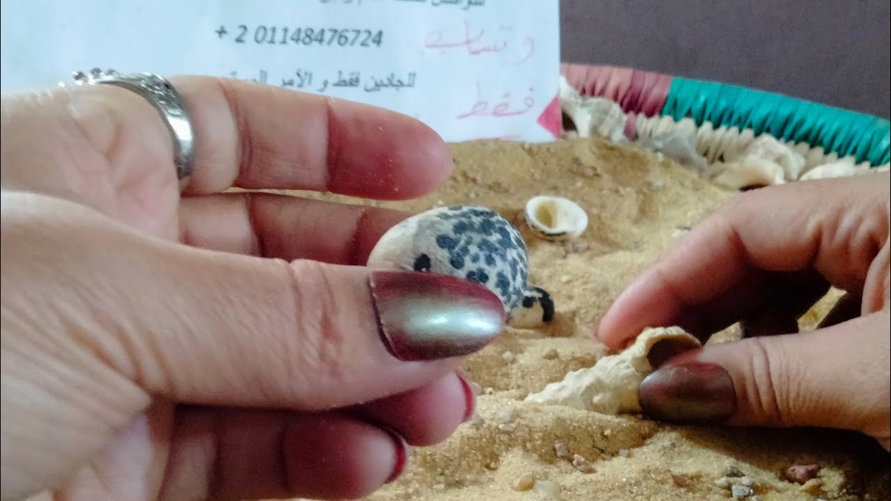 برج الميزان 2024 🤌 اصبر علي بدايه لك 📖 كمل طريقك 📞☎️. اتصال مهم وحبيبك عاوزه اعرف هدفه 😯 وازرق وفير