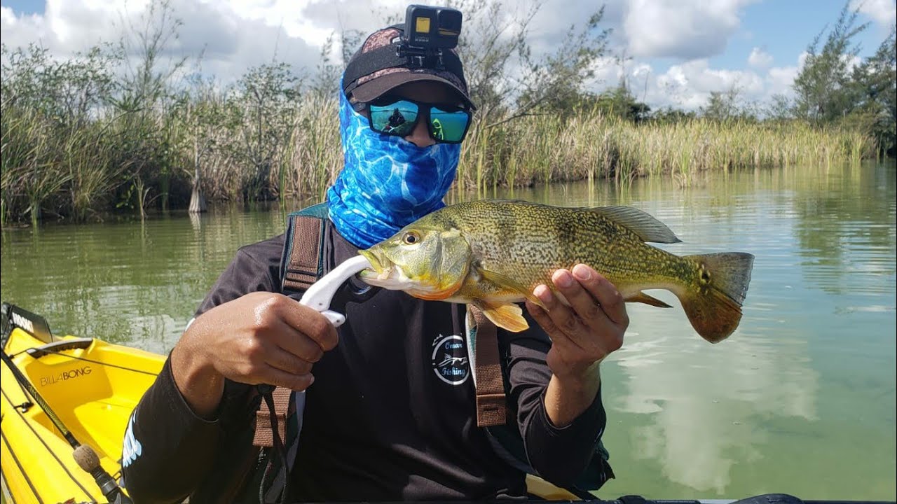 Pesca de Tucunares en Laguna Tortuguero Puerto Rico/Peacock Bass Fishing in Puerto Rico