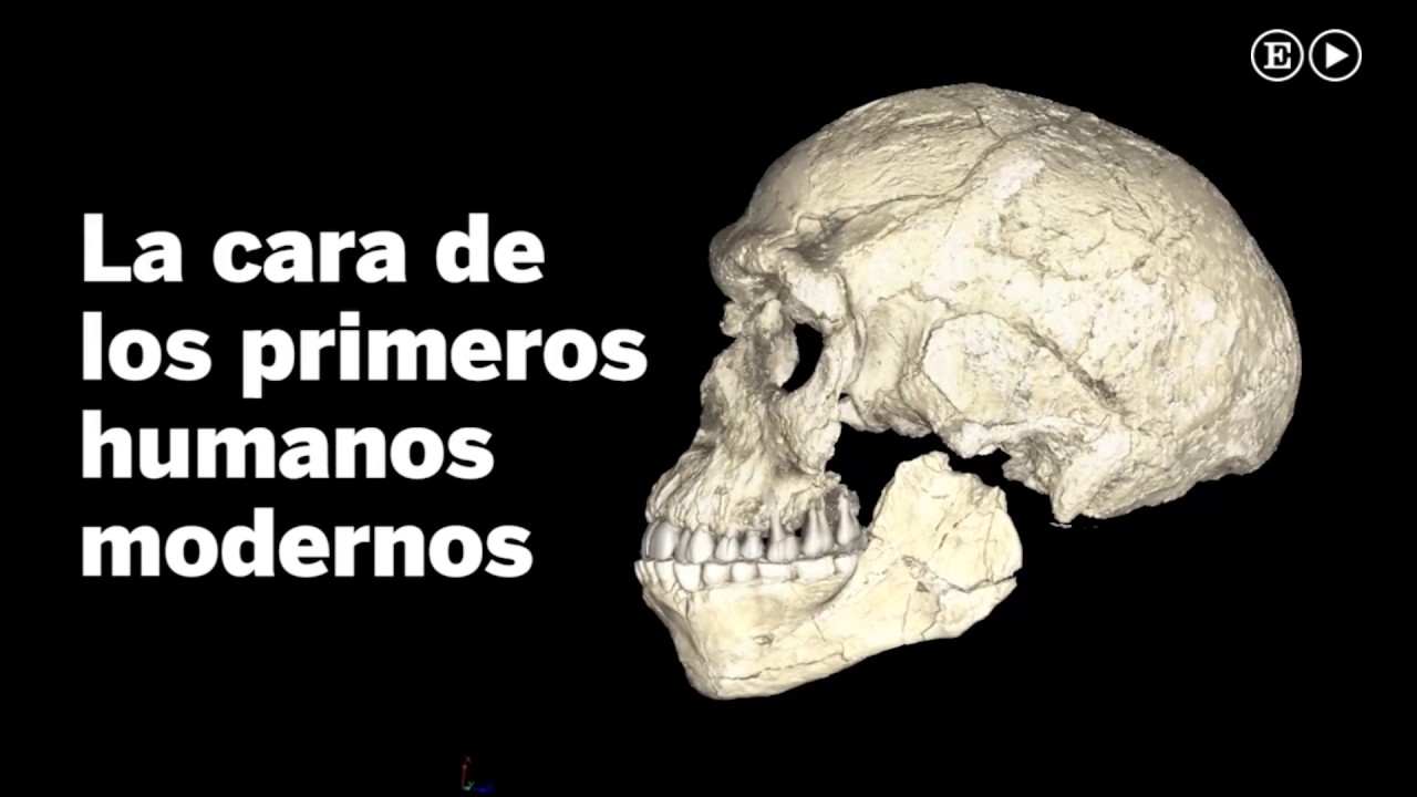 Los restos de los primeros 'Homo sapiens' | Materia
