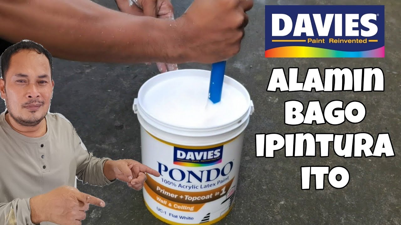 Mahalagang Malaman Bago Ipintura Ito | Davies Pondo | Davies Paints | Primer, Top Coat in 1